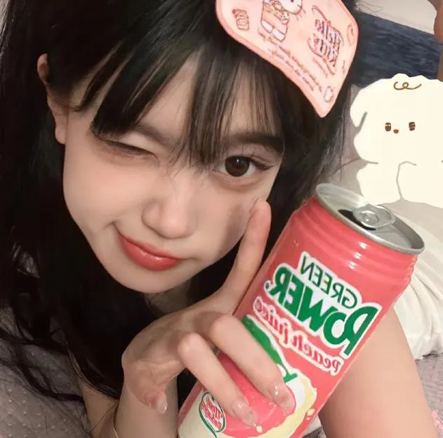 侵入者