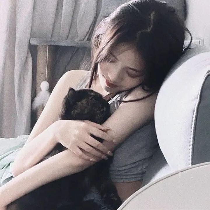 新猛龙过江